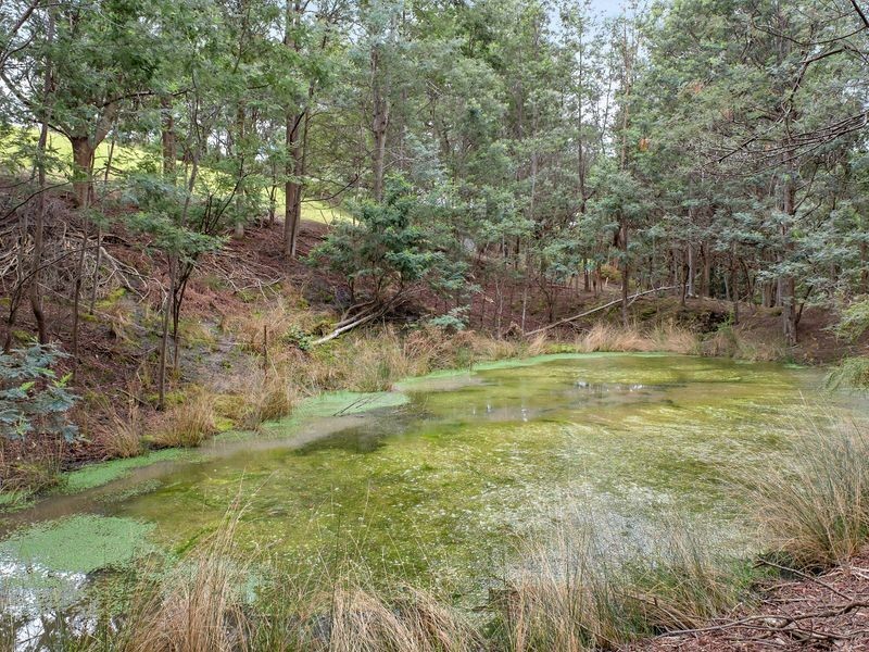 75 Gumpits Road, Birchs Bay TAS 7162