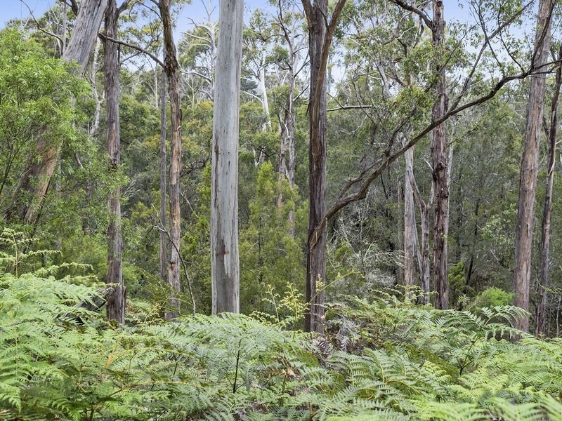 15 Draper Road, Howden TAS 7054