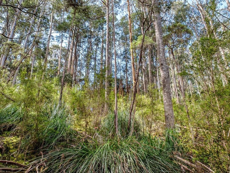 231 Cripps Road, Woodbridge TAS 7162