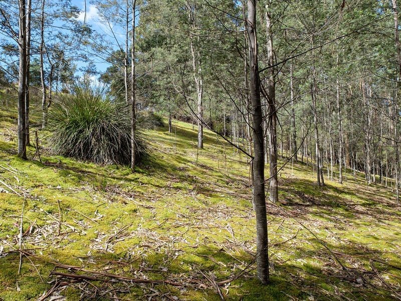 231 Cripps Road, Woodbridge TAS 7162