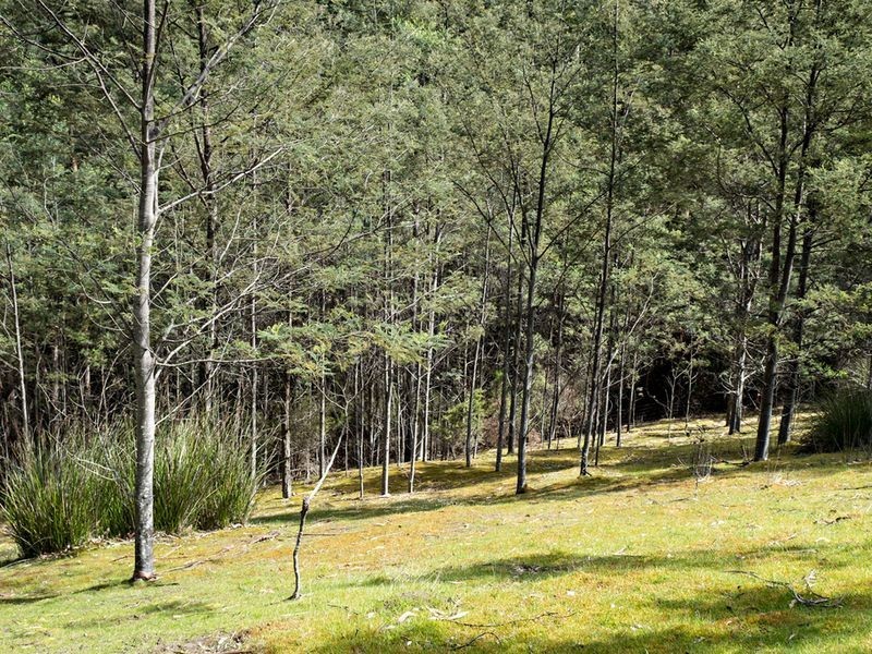 231 Cripps Road, Woodbridge TAS 7162