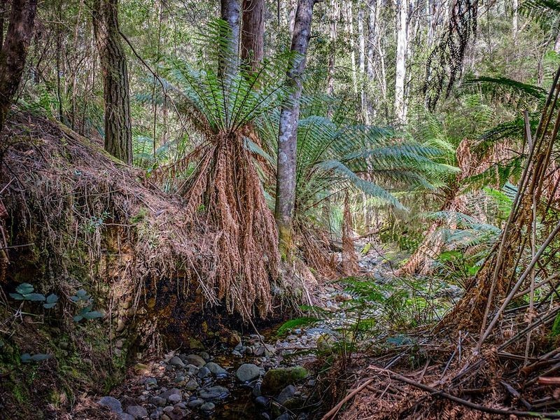 231 Cripps Road, Woodbridge TAS 7162