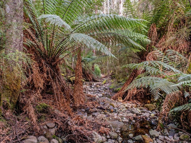 231 Cripps Road, Woodbridge TAS 7162