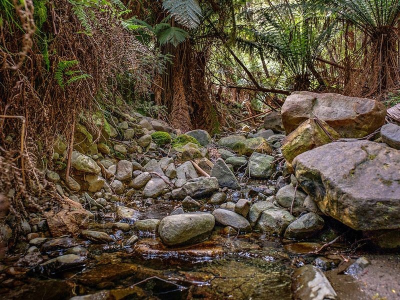 231 Cripps Road, Woodbridge TAS 7162