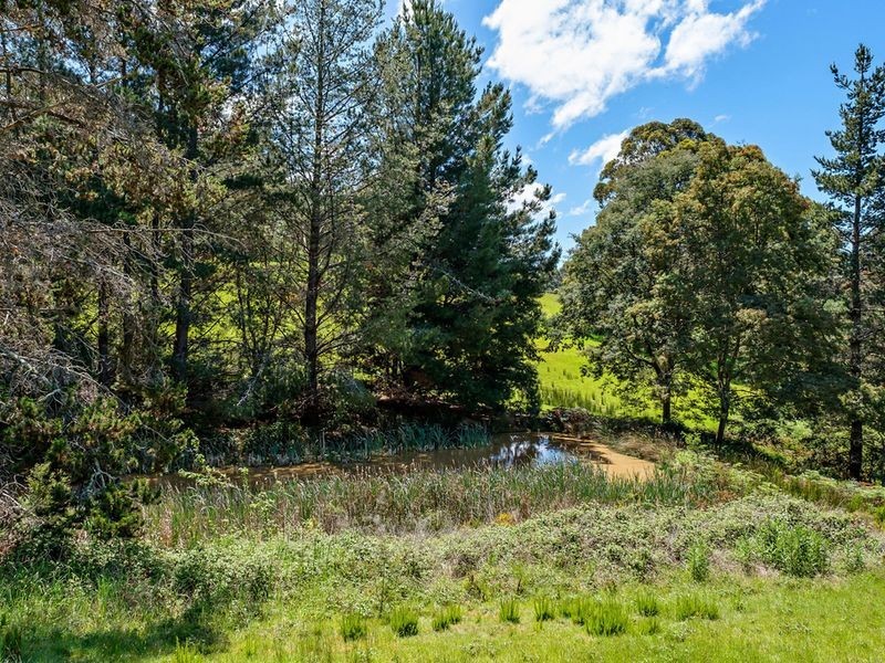26 Honeys Road, Flowerpot TAS 7163