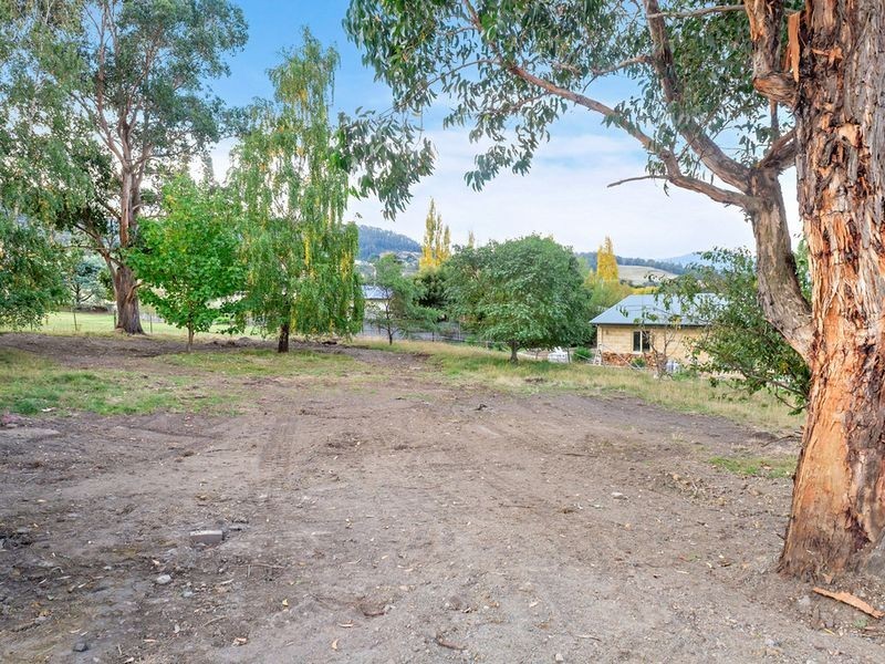 Lot 1 & Lot 3 Ranelagh Street, Ranelagh TAS 7109