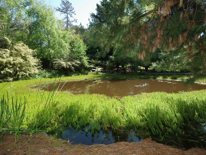 3871 Channel Highway, Birchs Bay TAS 7162