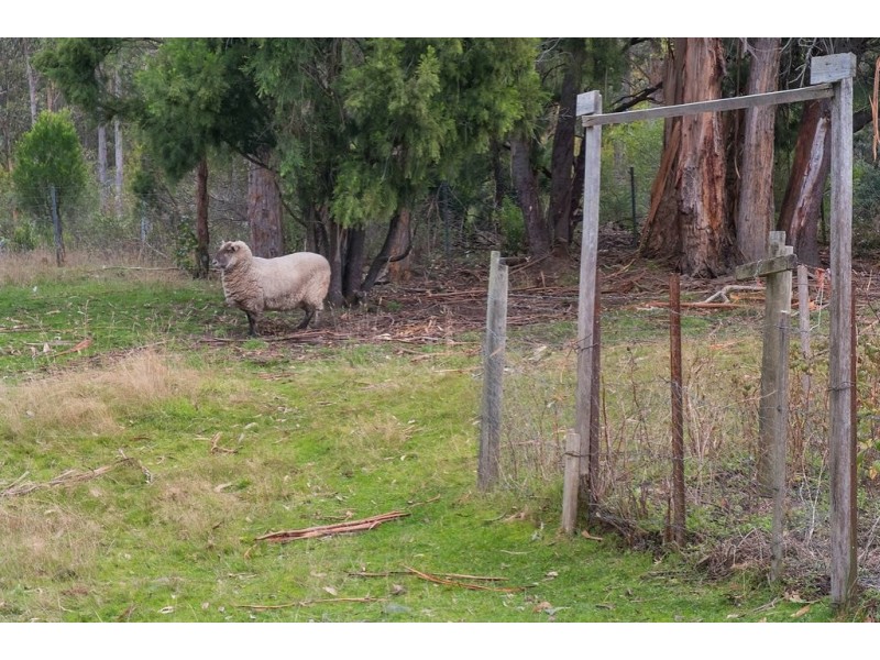 2151 Channel Highway, Snug TAS 7054