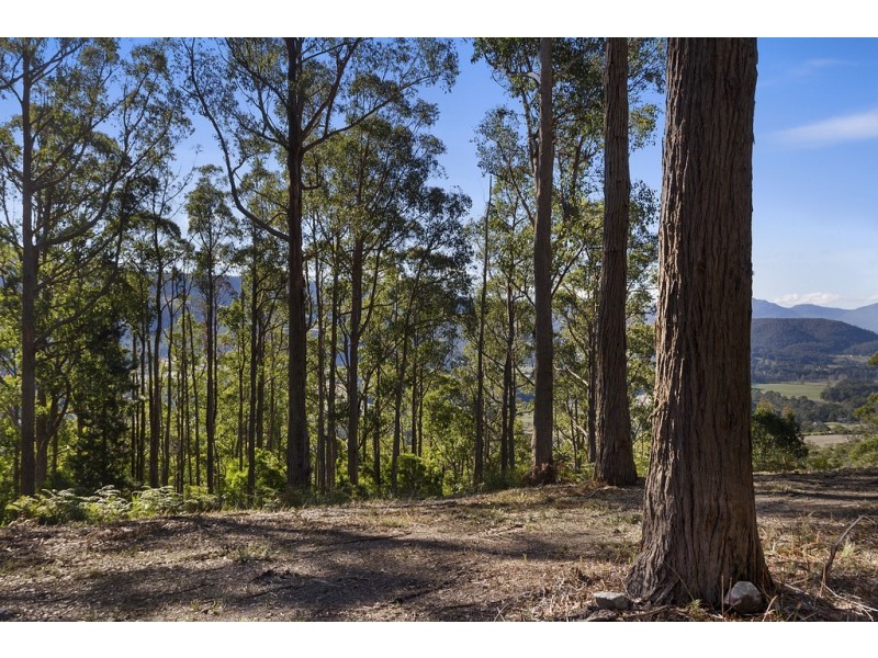 23 Lanes Road, Glen Huon TAS 7109
