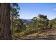 23 Lanes Road, Glen Huon TAS 7109