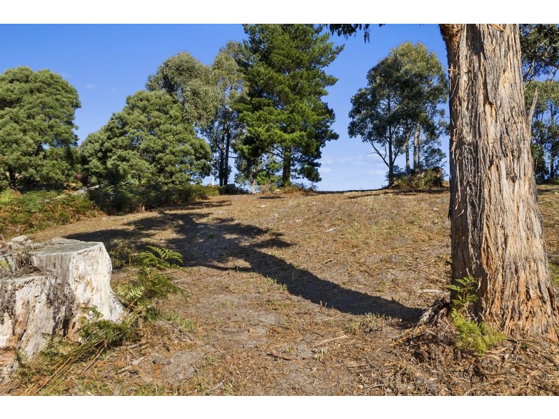 23 Lanes Road, Glen Huon TAS 7109