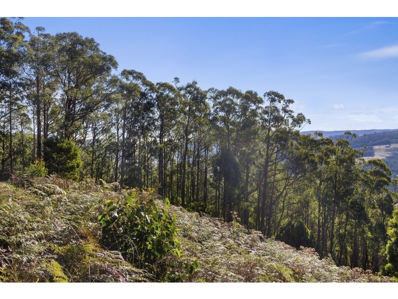 23 Lanes Road, Glen Huon TAS 7109