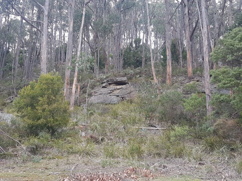 23 Lanes Road, Glen Huon TAS 7109