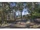 23 Lanes Road, Glen Huon TAS 7109