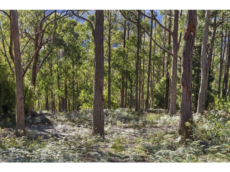 23 Lanes Road, Glen Huon TAS 7109