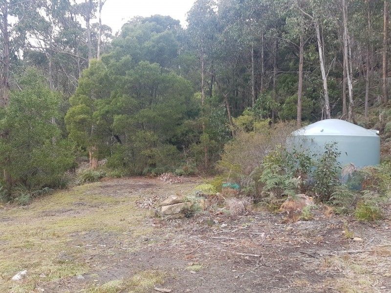 23 Lanes Road, Glen Huon TAS 7109