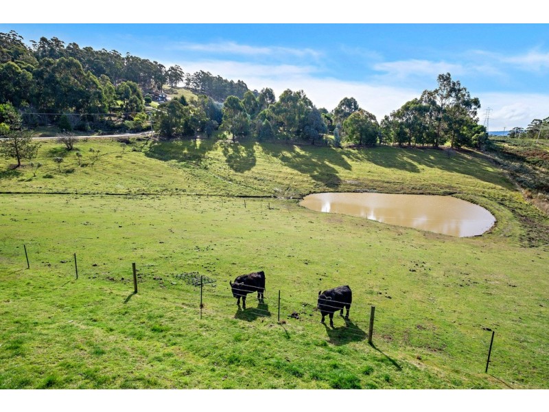 4 Culbara Road, Electrona TAS 7054