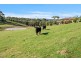 4 Culbara Road, Electrona TAS 7054
