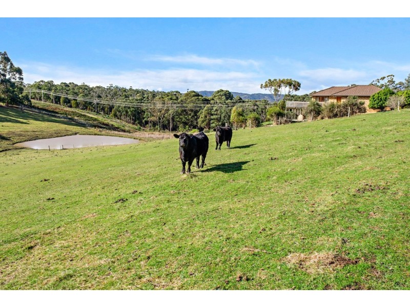 4 Culbara Road, Electrona TAS 7054