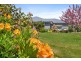 23 Iris Court, Kingston TAS 7050
