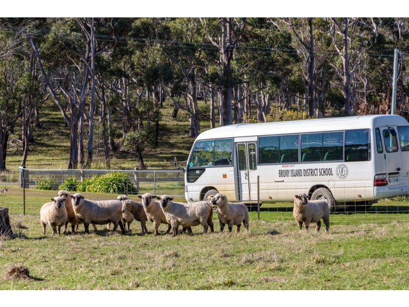 42 Harvey Road, Alonnah TAS 7150