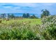 10 Grosse Road, Gordon TAS 7150