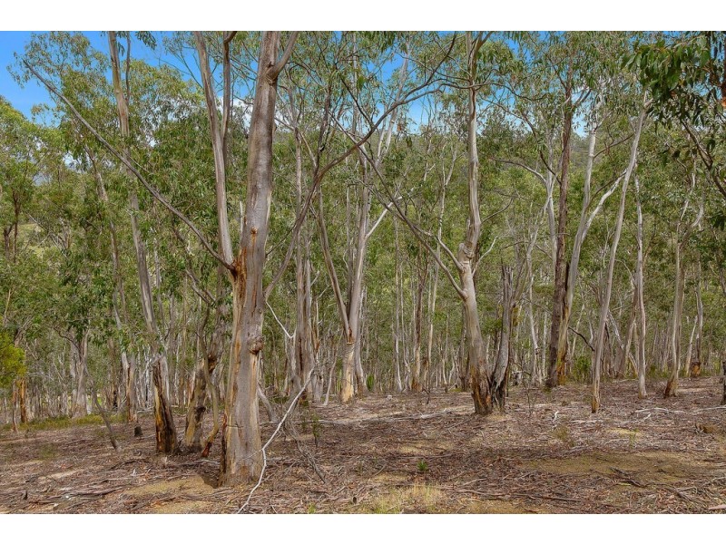 55 Jamiesons Road, Margate TAS 7054