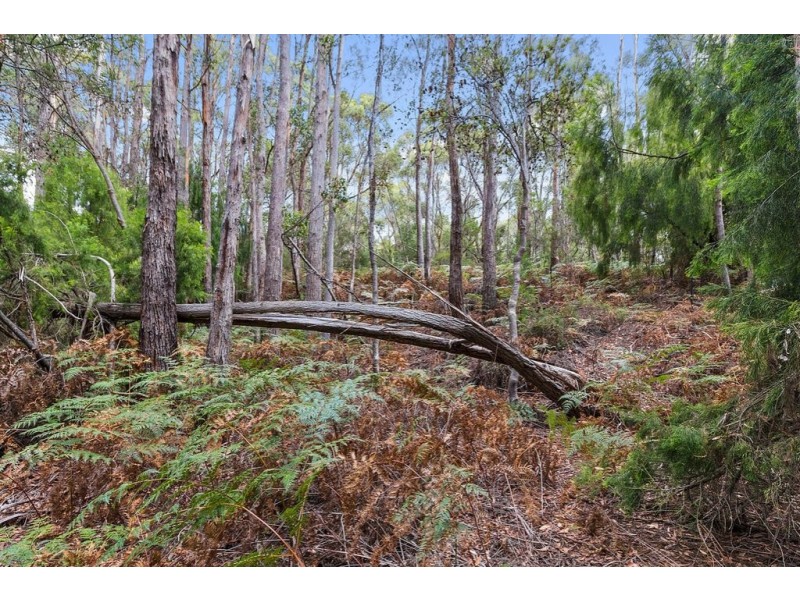 Channel Highway, Flowerpot TAS 7163