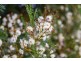 Channel Highway, Flowerpot TAS 7163