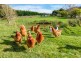 69 Snug Tiers Rd, Snug TAS 7054