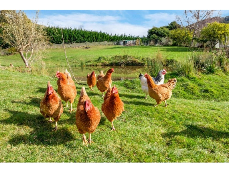 69 Snug Tiers Rd, Snug TAS 7054