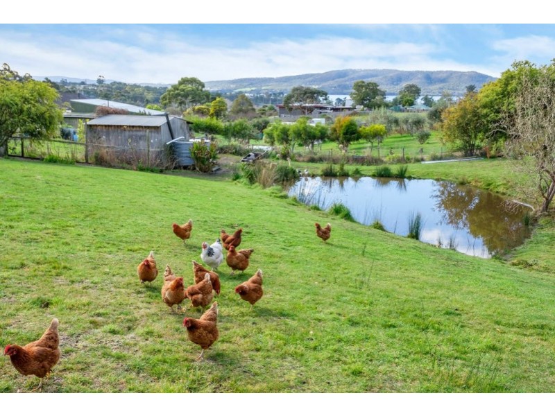 69 Snug Tiers Rd, Snug TAS 7054