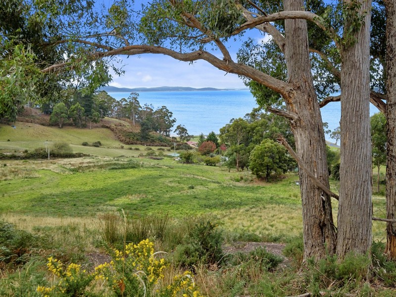 Cliffords Road, Gordon TAS 7150