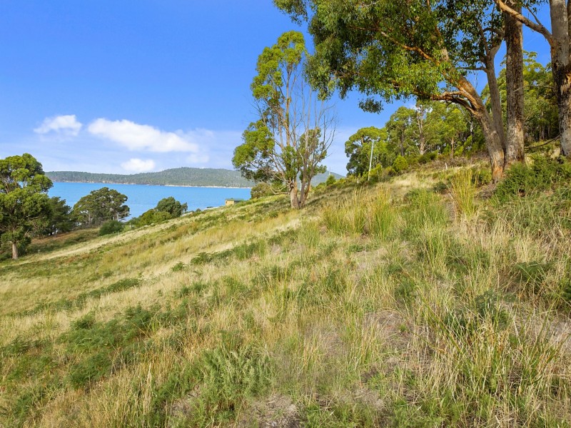 Cliffords Road, Gordon TAS 7150