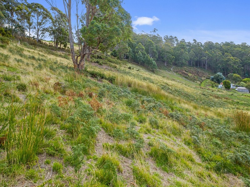 Cliffords Road, Gordon TAS 7150