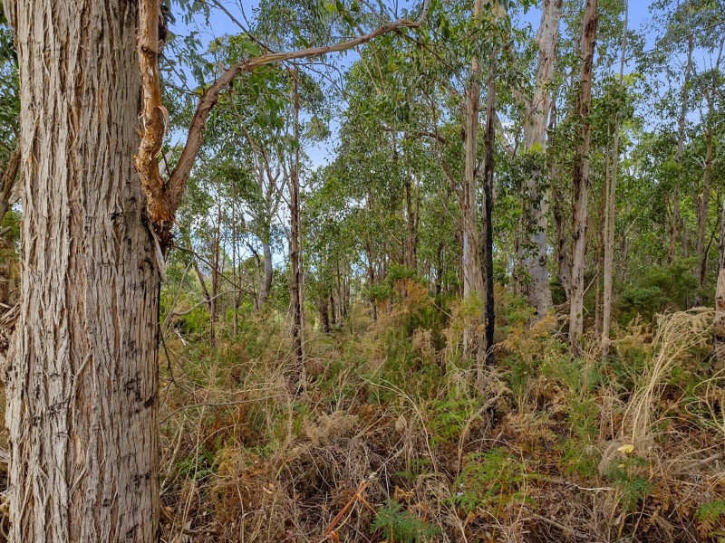 Cliffords Road, Gordon TAS 7150