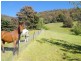 29 Daly Road, Sandfly TAS 7150