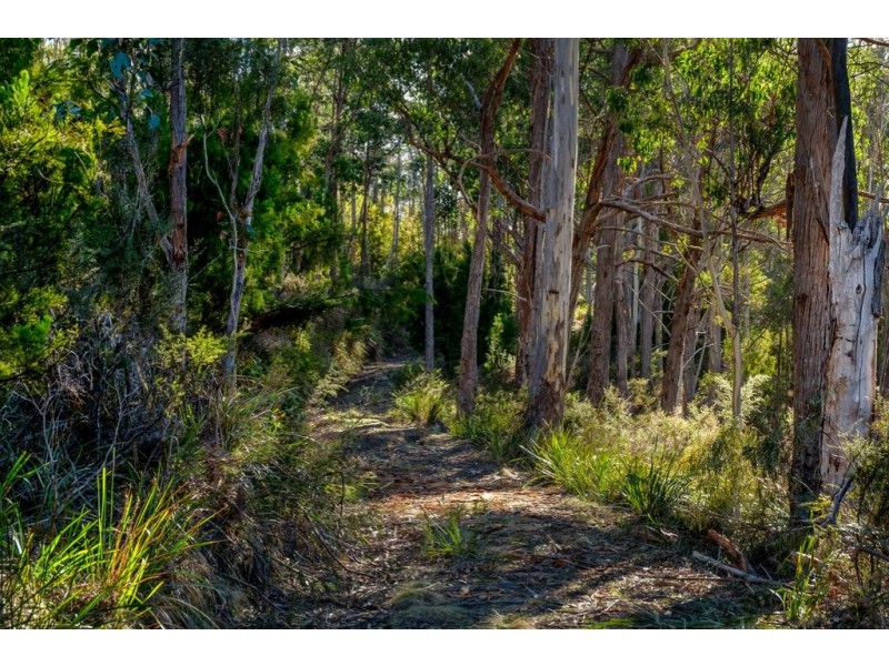109 Powers Road, Lower Snug TAS 7054