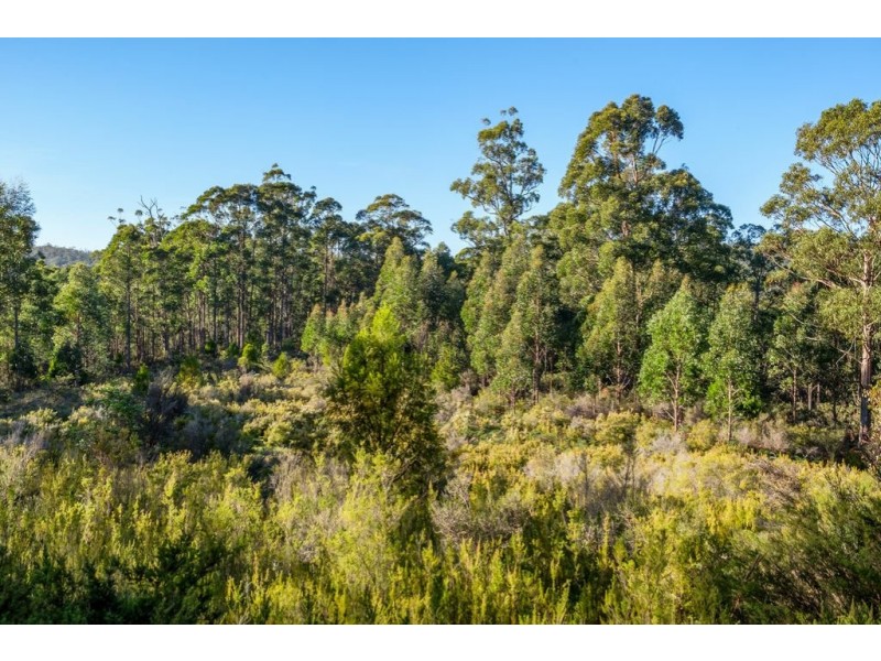 109 Powers Road, Lower Snug TAS 7054