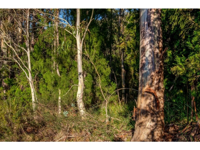 109 Powers Road, Lower Snug TAS 7054