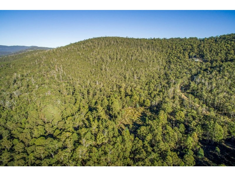 109 Powers Road, Lower Snug TAS 7054