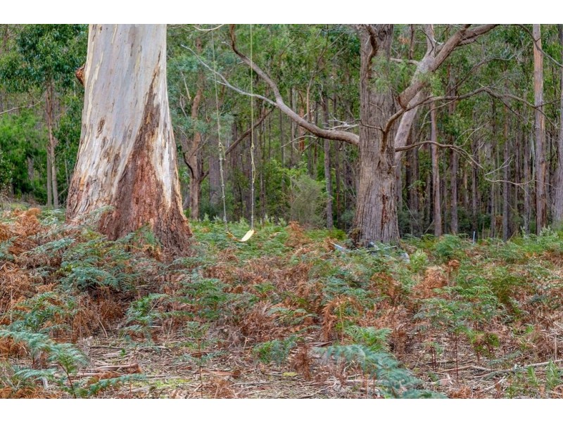 2450 Channel Highway, Lower Snug TAS 7054