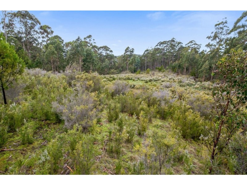 2450 Channel Highway, Lower Snug TAS 7054