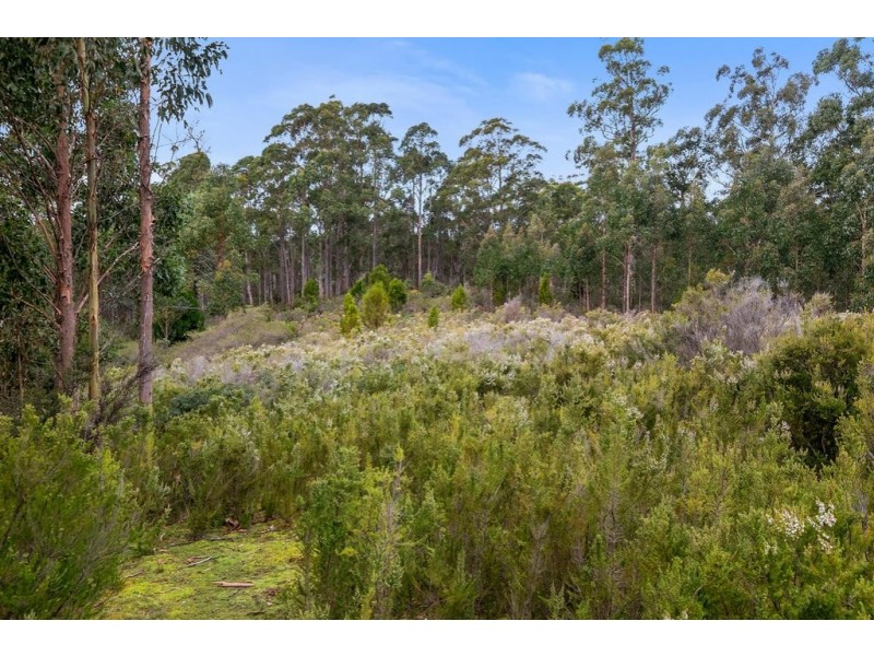 2450 Channel Highway, Lower Snug TAS 7054