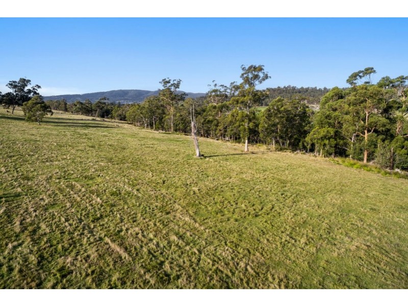 216 Van Morey Road, Margate TAS 7054