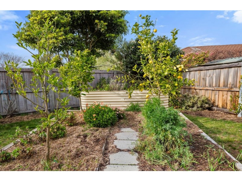 8 Ashley Court, Blackmans Bay TAS 7052