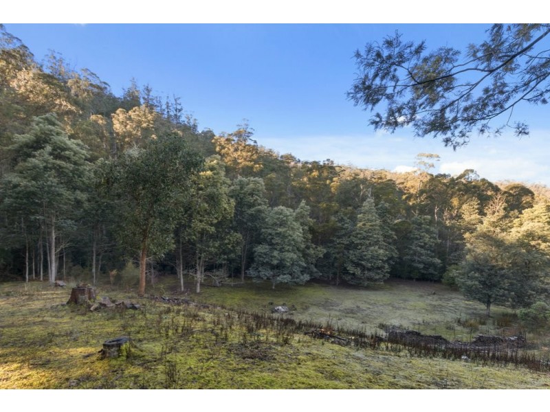 65 Scotts Road, Kingston TAS 7050