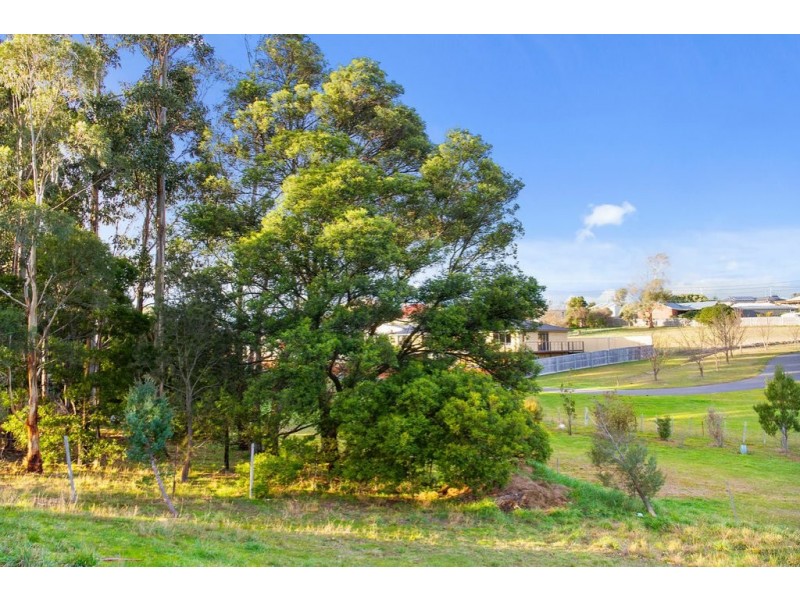 12 Balm Court, Margate TAS 7054