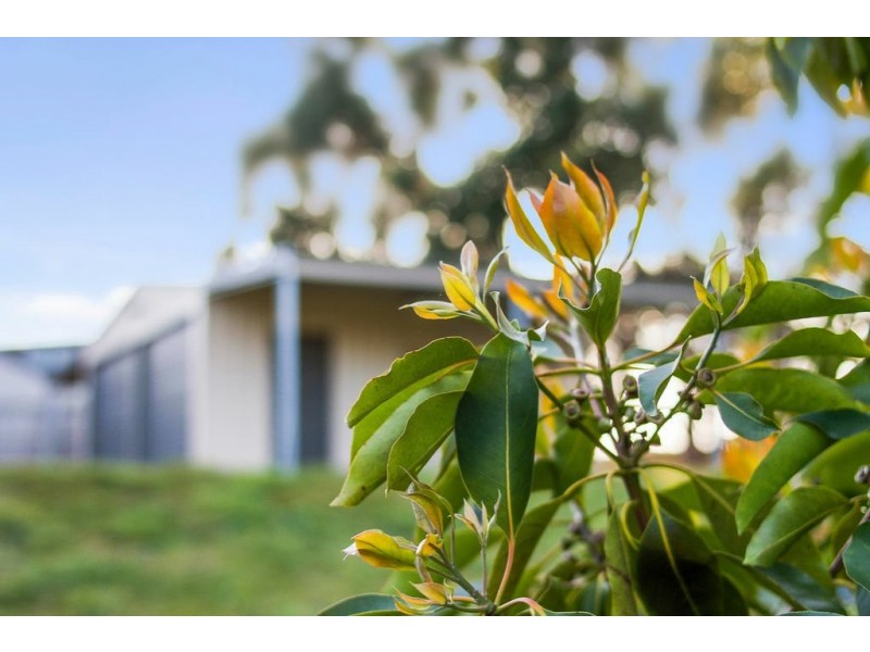 12 Balm Court, Margate TAS 7054