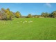 Lot 1 Gumpits Road, Birchs Bay TAS 7162